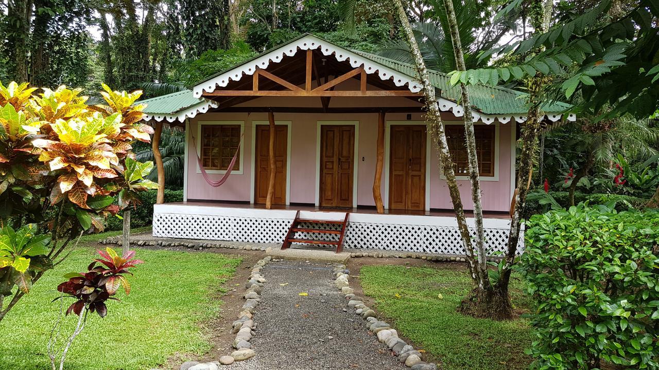 קאוויטה Ciudad Perdida Ecolodge מראה חיצוני תמונה