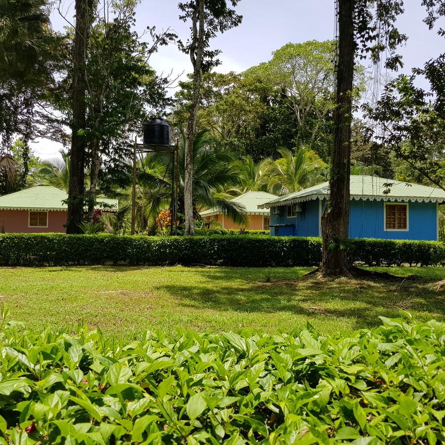 קאוויטה Ciudad Perdida Ecolodge מראה חיצוני תמונה