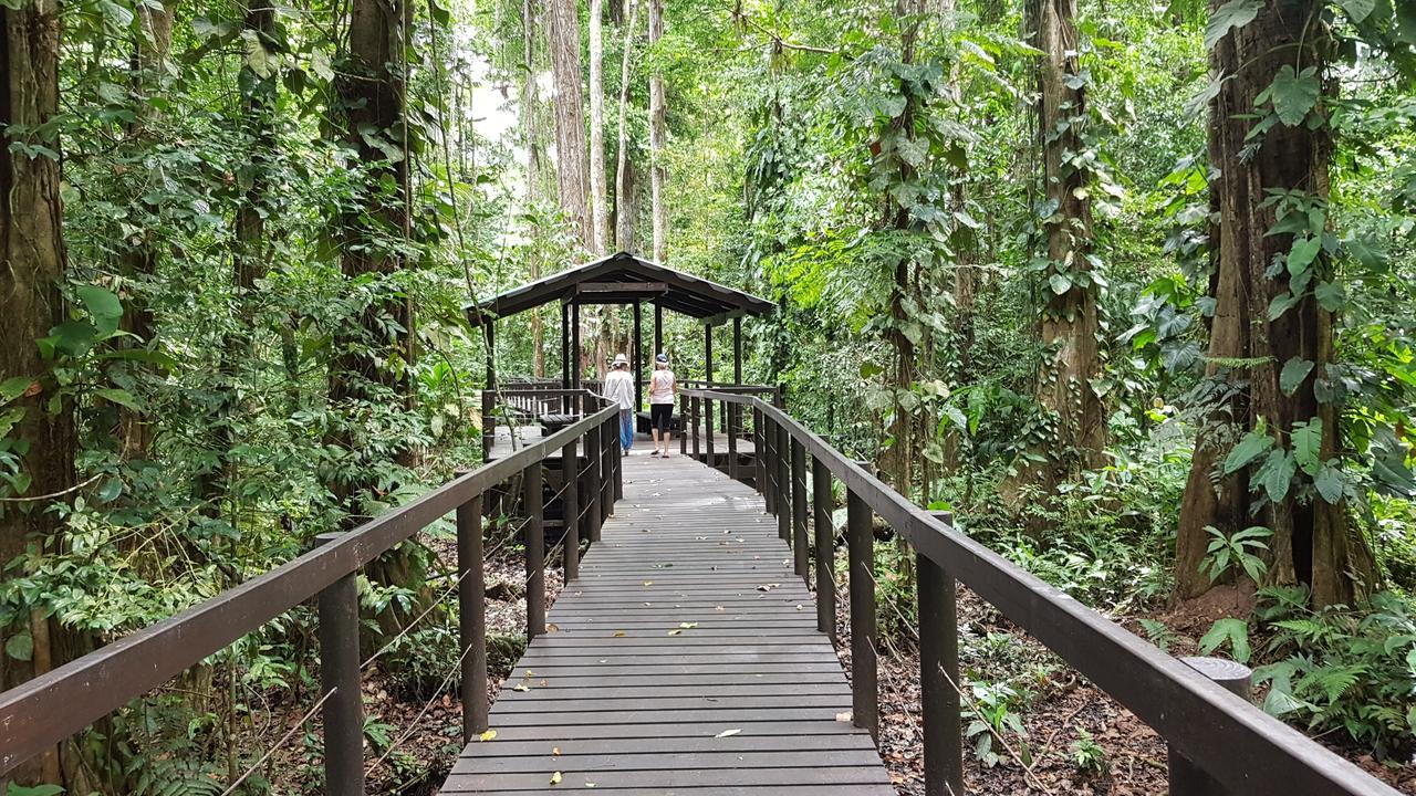 קאוויטה Ciudad Perdida Ecolodge מראה חיצוני תמונה